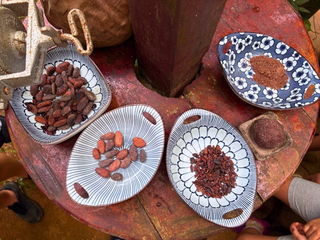 Od bobu k tabulce: jak vzniká fair trade kakao a bean-to-bar čokoláda